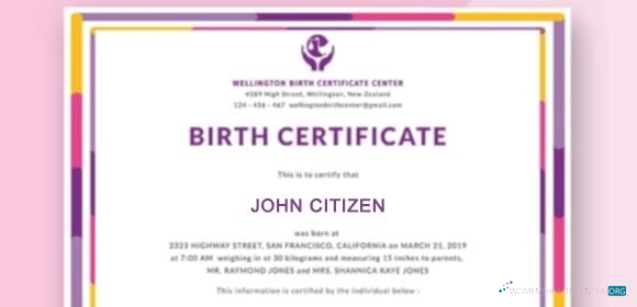 Download New Zealand Wellington birth certificate center birth cerificate Photoshop template